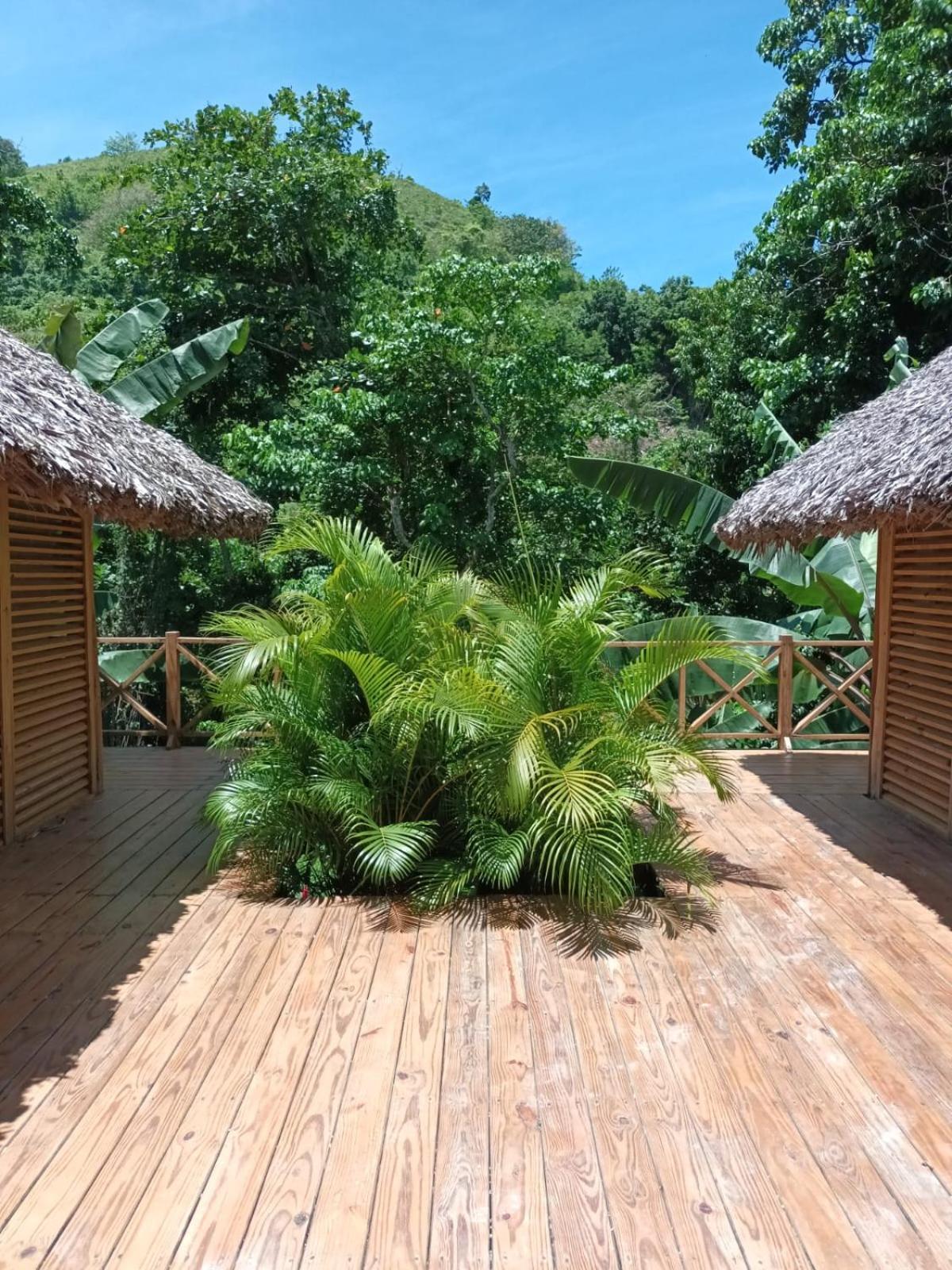 Samo Eco Lodge Las Terrenas Extérieur photo