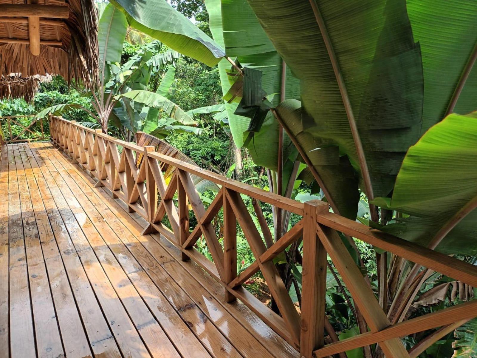 Samo Eco Lodge Las Terrenas Extérieur photo