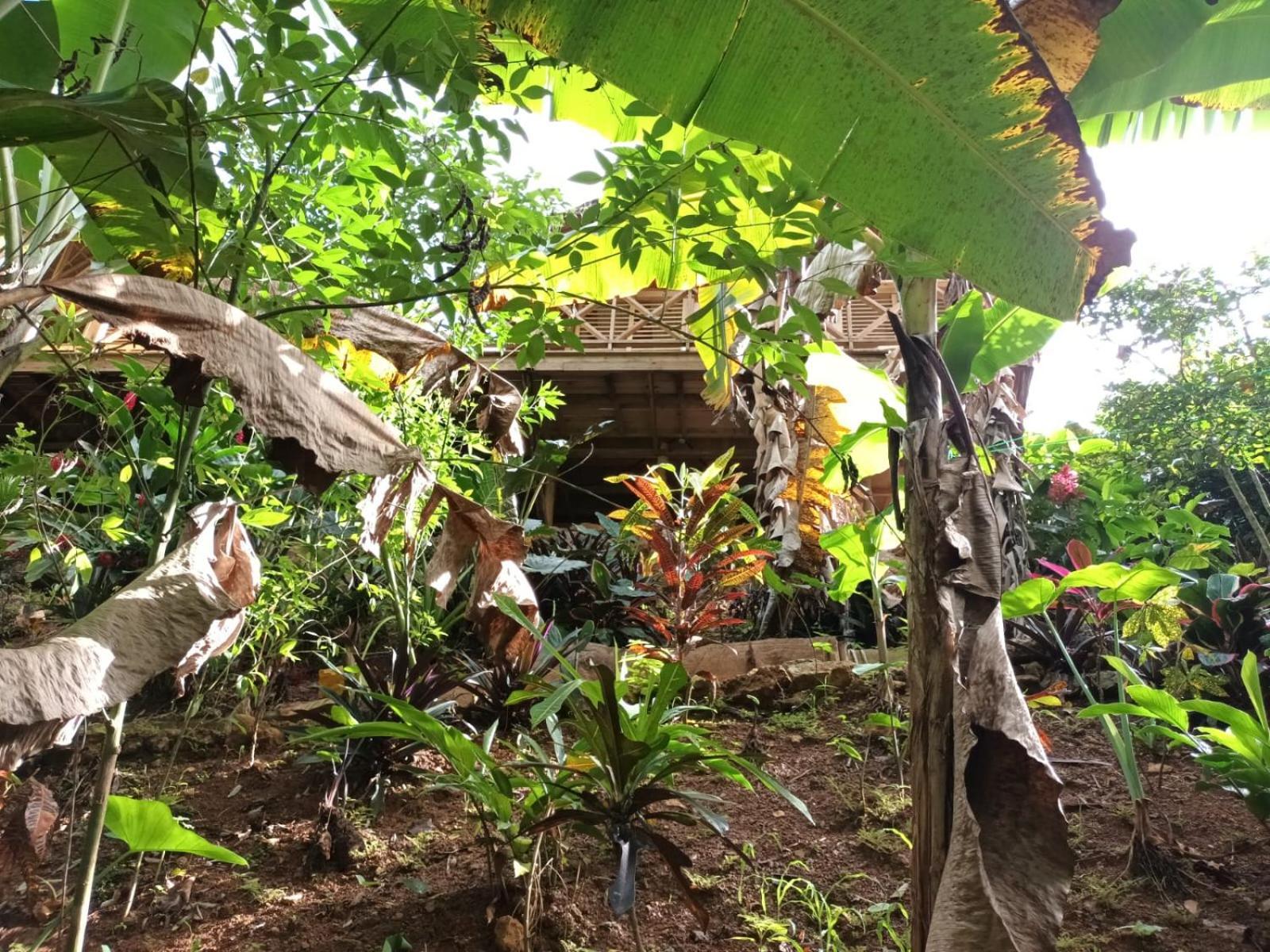 Samo Eco Lodge Las Terrenas Extérieur photo