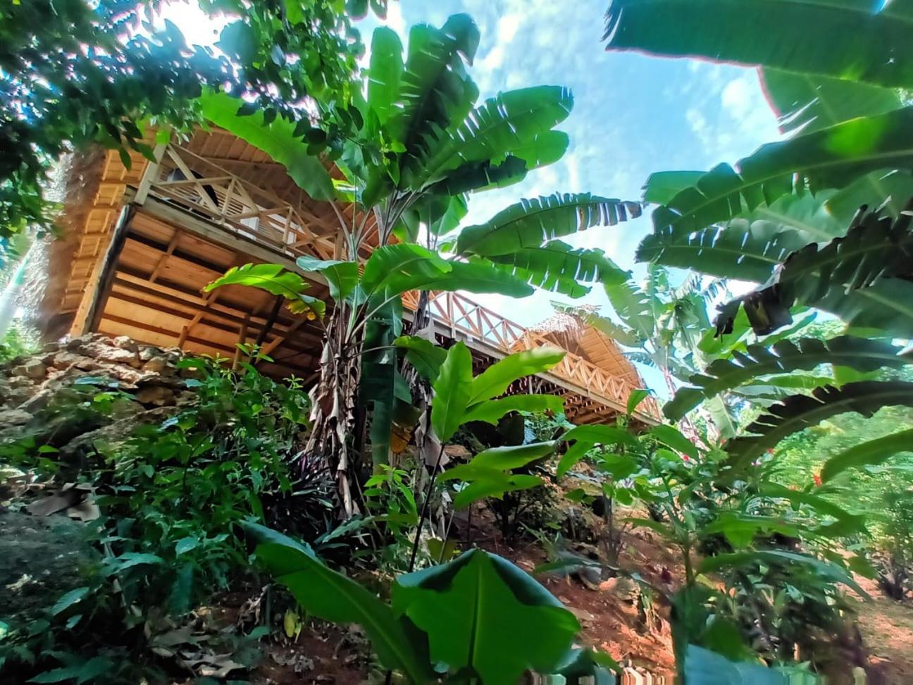 Samo Eco Lodge Las Terrenas Extérieur photo