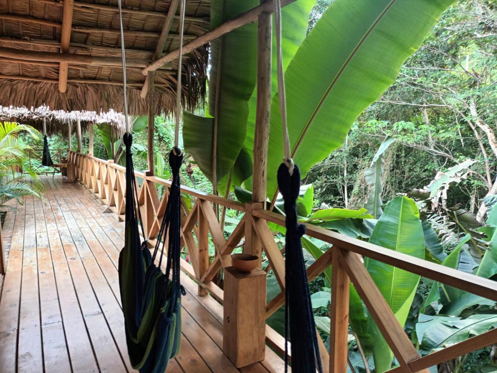 Samo Eco Lodge Las Terrenas Extérieur photo